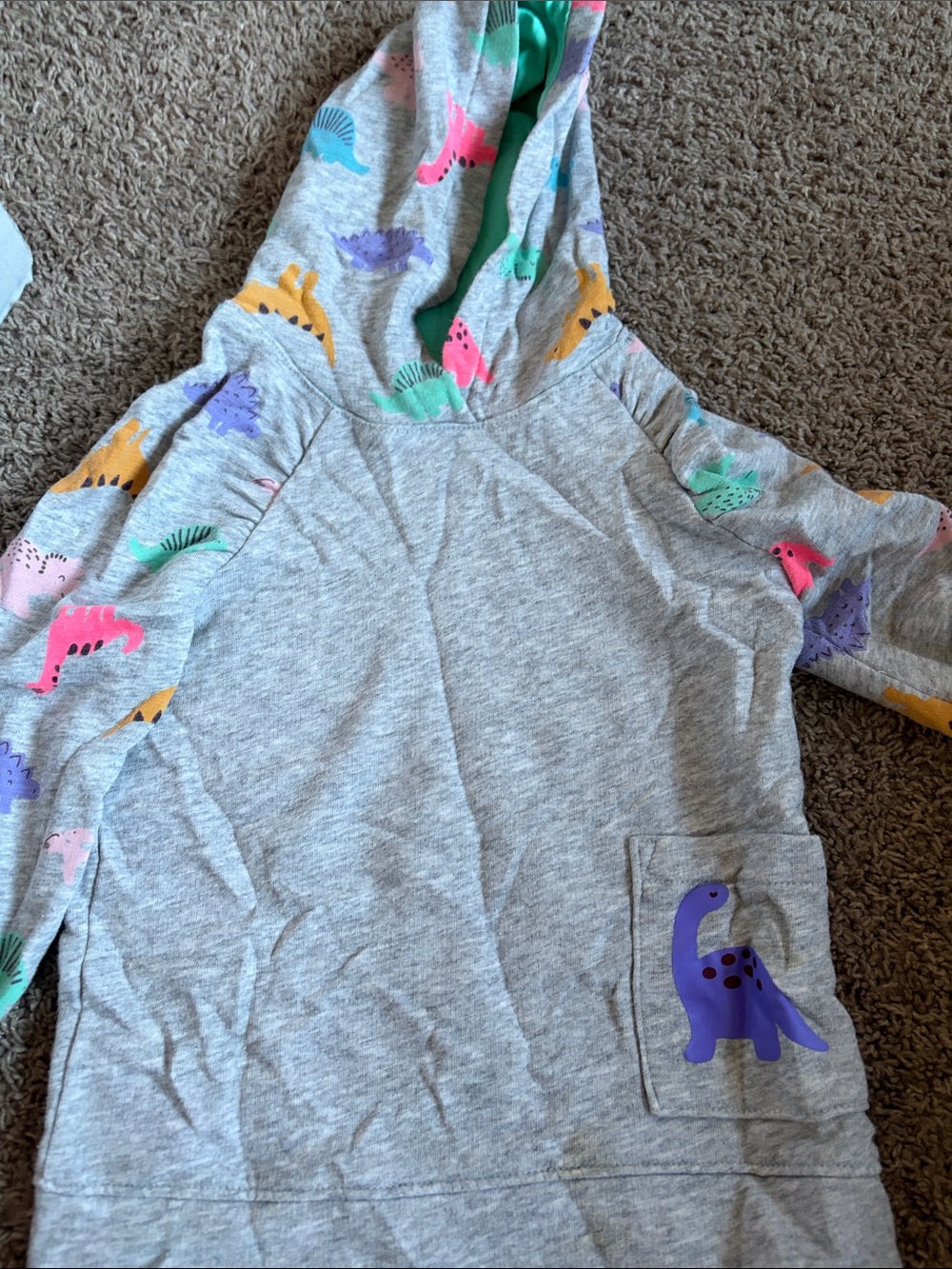 Cat & Jack Gray Hoodie with Colorful Dinosaur Accents
